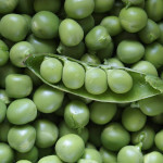 Pea & Bean seeds